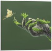 Forex - Begroeid houten Handen met Vlinder - 50x50cm Foto op Forex