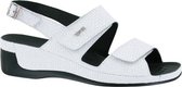 VITAL 206501 PANERO 40 WIT