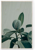 Plywood Print - Houten Poster - Botanisch