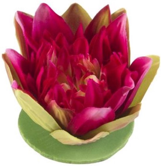 Velda Vijver Vijvertechniek Drijvende Vijverplant Lotus Fuchsia 13Cm