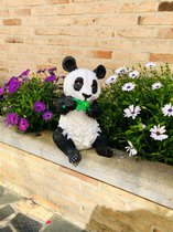 Panda met bamboe zit klein 36 cm - polyresin - polystone - hoogkwalitatieve kunststof - decoratiefiguur - interieur - accessoire - voor binnen - voor buiten - cadeau - geschenk - tuinfiguur -