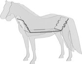 Display paard – Acryl