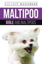 Maltipoo Bible And Maltipoos
