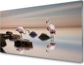 Glasschilderij flamingo’s in het water | 140 x 70 CM | 4 mm gehard glas | Incl. Blind ophangsysteem | Moderne glazen schilderij