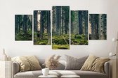 Schilderij -Mysterieus bos, groen,    5 luik, 200x100cm, Premium print
