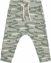Dear Sophie |CROCODILE| Broek Mint Maat 122/128