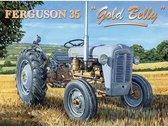Metalen Wandbord Tractor Ferguson 35 Gold Belly - 20 x 30 cm