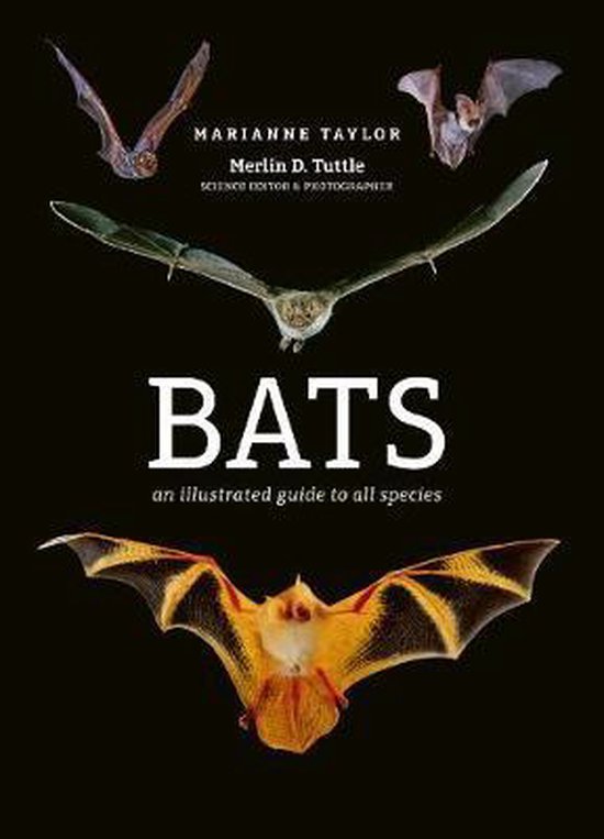 Bats - cover