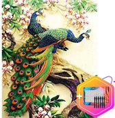 Pcasso ® Uil Colorfull - Op Frame en Incl. 6 Ergonomische Penselen & Geschenkverpakking - Schilderen Op Nummer Volwassenen – Schilderen Op Nummer Dieren – Kleuren Op Nummer – 40x50