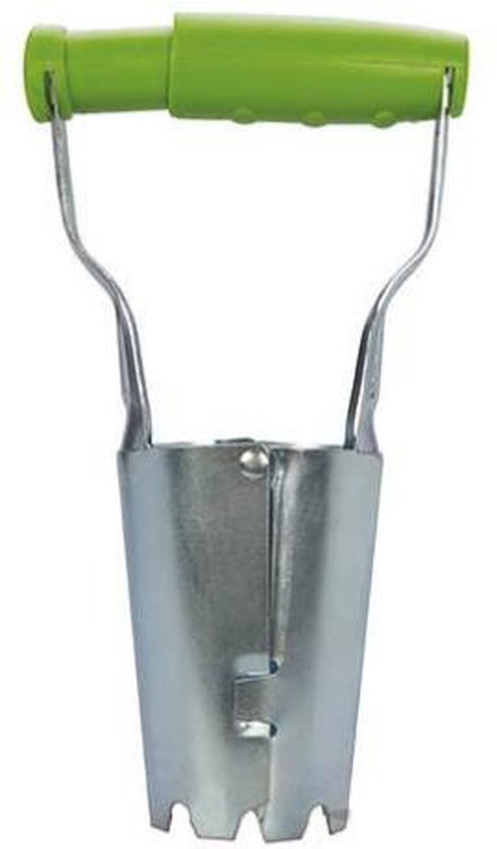 Bollenplanter