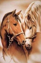 Diamond painting 40 x 50 cm - Paarden