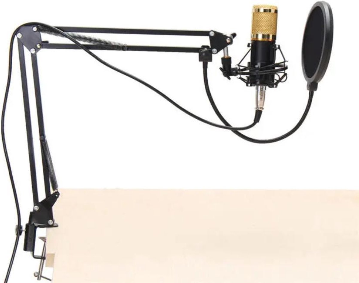 Microfoon set studiokwaliteit