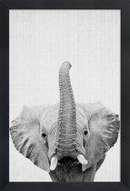 JUNIQE - Poster in houten lijst Olifant zwart-wit foto -30x45 /Wit &