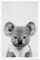 JUNIQE - Poster Koala zwart-wit foto -40x60 /Grijs & Wit