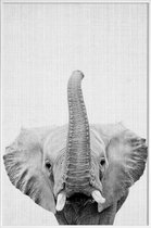 JUNIQE - Poster in kunststof lijst Olifant zwart-wit foto -20x30 /Wit