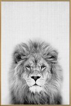 JUNIQE - Poster met kunststof lijst Leeuw zwart-wit foto -20x30 /Grijs