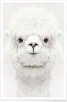 JUNIQE - Poster Lachende Alpaca -60x90 /Wit