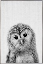 JUNIQE - Poster met kunststof lijst Uil zwart-wit foto -40x60 /Grijs &