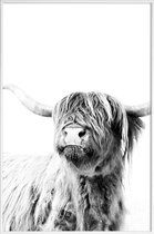 JUNIQE - Poster in kunststof lijst Highland Cattle Frida 2 -60x90