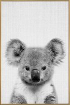 JUNIQE - Poster met kunststof lijst Koala zwart-wit foto -40x60 /Grijs