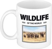 Olifant mok met dieren foto wildlife of the world