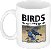Raven  mok met dieren foto birds of the world