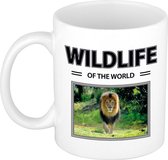 Dieren foto mok Leeuw - 300 ml - wildlife of the world - cadeau beker / mok Leeuwen liefhebber