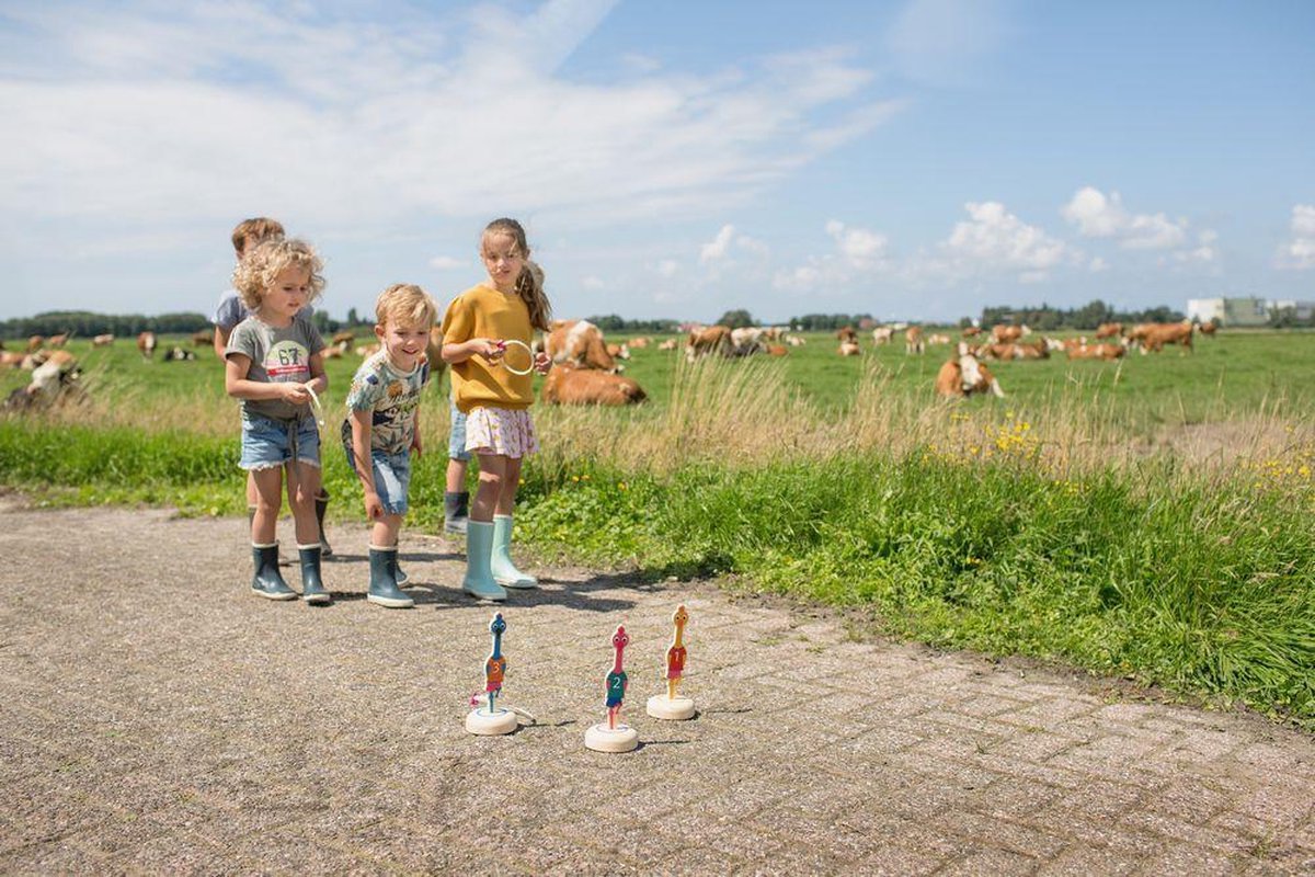 BS Toys Ringwerpen Vogels - Buitenspeelgoed - Werpspel kinderen - Werpspel hout - Spelletjes voor kinderen - Buiten speelgoed - Buitenspel - Buiten Spellen - Tuin Speelgoed - Houten speelgoed — afbeelding 4
