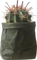 de Zaktus - Crassula - vetplant - paper bag papier [licht bruin] - Maat XL