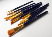 Penselenset 10 verschillende penselen van Natuurlijk Angelart - geschikt voor o.a. aquarelverf, acrylverf en inkt.