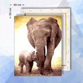 Schilderen op nummer pakket Olifant en Olifantje - 40 x 50 cm - met frame