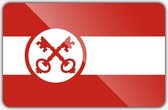 Vlag gemeente Leiden - 70 x 100 cm - Polyester
