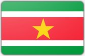Vlag Suriname - 150 x 225 cm - Polyester