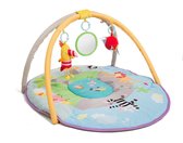 Taftoys Baby Gym in Jungle-thema