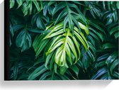 Canvas  - Verschillende Kleuren Groene Bladeren - 40x30cm Foto op Canvas Schilderij (Wanddecoratie op Canvas)