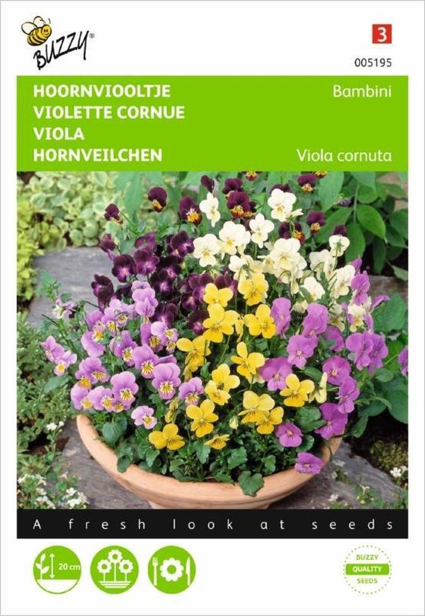 Viola cornuta Bambini gemengd