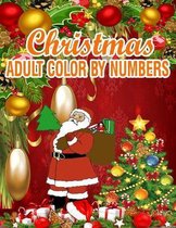 Christmas Adult Color By Numbers