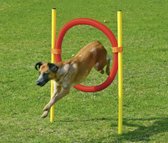 KARLIE Dog Agility Hondentraining - Bandenset rood/geel