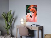 Flamingo op plexiglas - Wanddecoratie - Kunst aan de muur - 50 x 70 cm