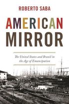 America in the World 58 - American Mirror