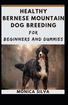 Healthy Bernese Mountain Dog breeding For beginners and dummies