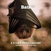 Bats 8.5 X 8.5 Photo Calendar September 2021 -December 2022