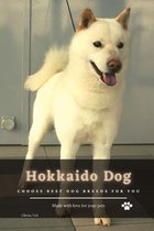 Hokkaido Dog