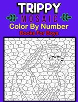 Trippy Mosaic Color By Number Books For Boys