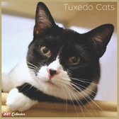 Tuxedo Cats 2021 Calendar