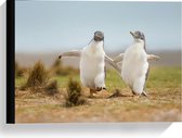 Canvas  - Huppelende Pinguïns  - 40x30cm Foto op Canvas Schilderij (Wanddecoratie op Canvas)