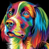 Schilderen Op Nummer Volwassenen - Do It Yourself Paintings - Gekleurde Hond - 40x50 cm - Canvas met Frame