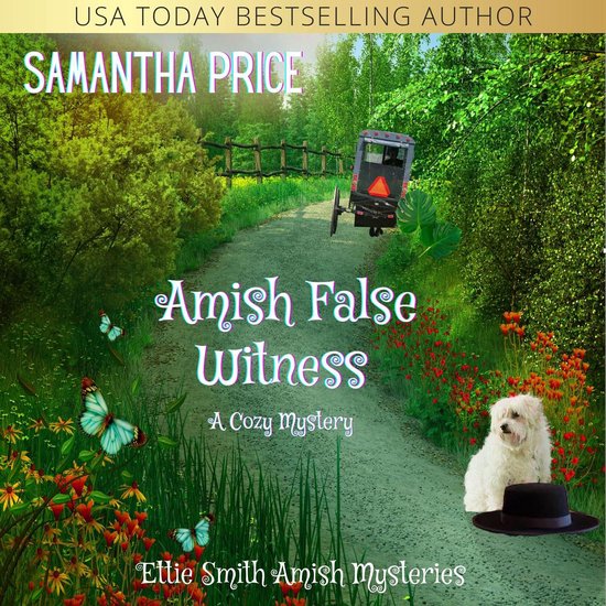 Amish False Witness - cover