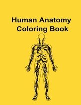 Human Anatomy Coloring Book