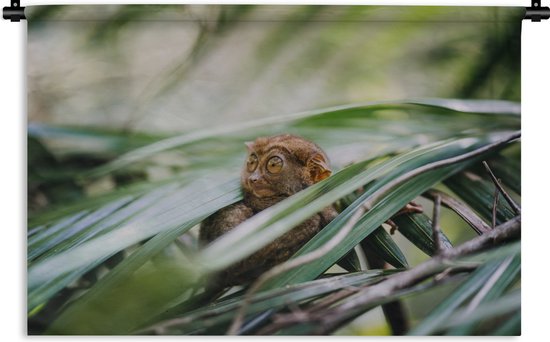 Tapisserie murale Habitants de la jungle - Tarsier des Philippines parmi les feuilles Tapisserie coton 90x60 cm - Tapisserie avec photo
